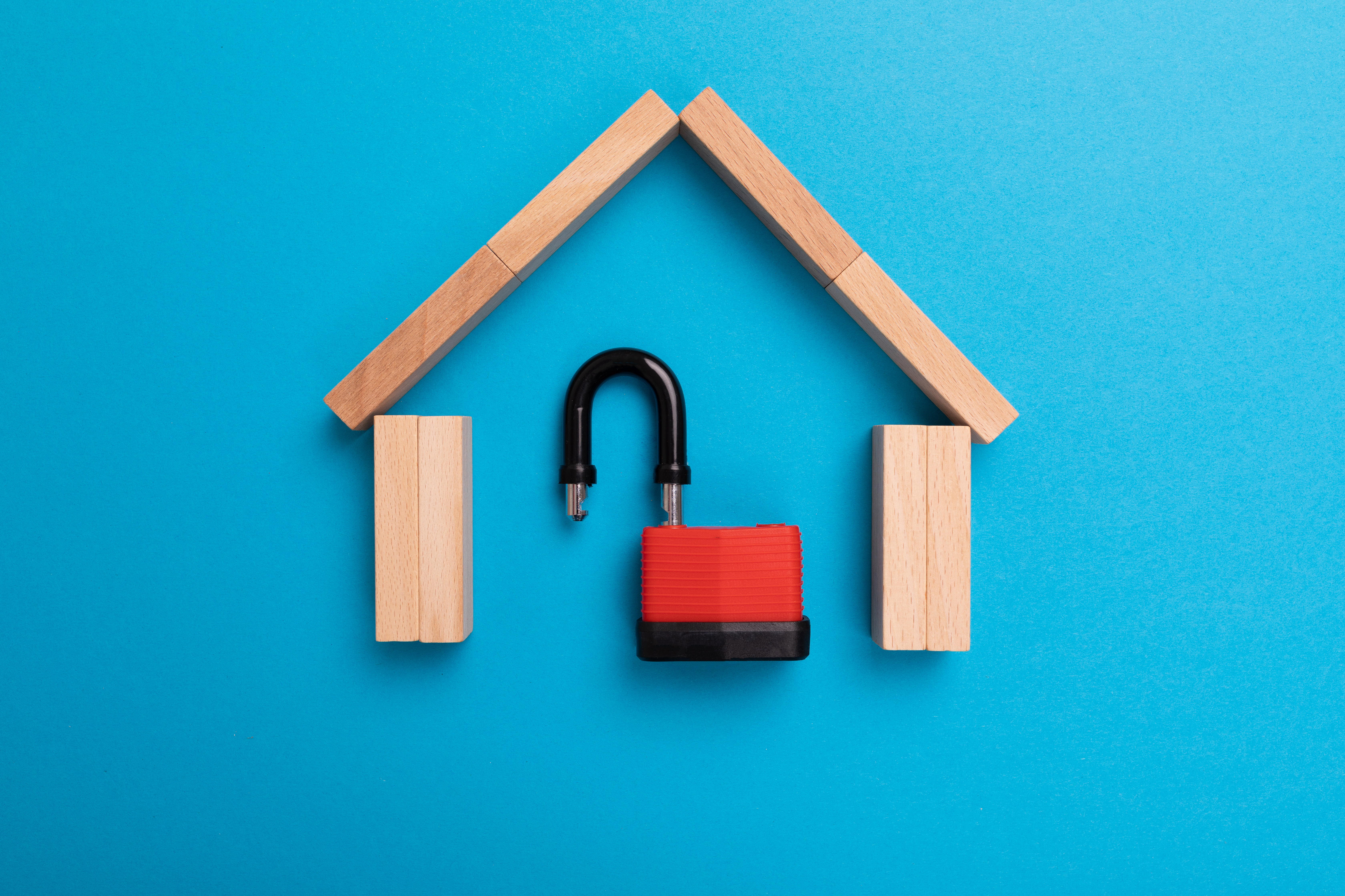 Home Security 101: Protecting Your Family and Property